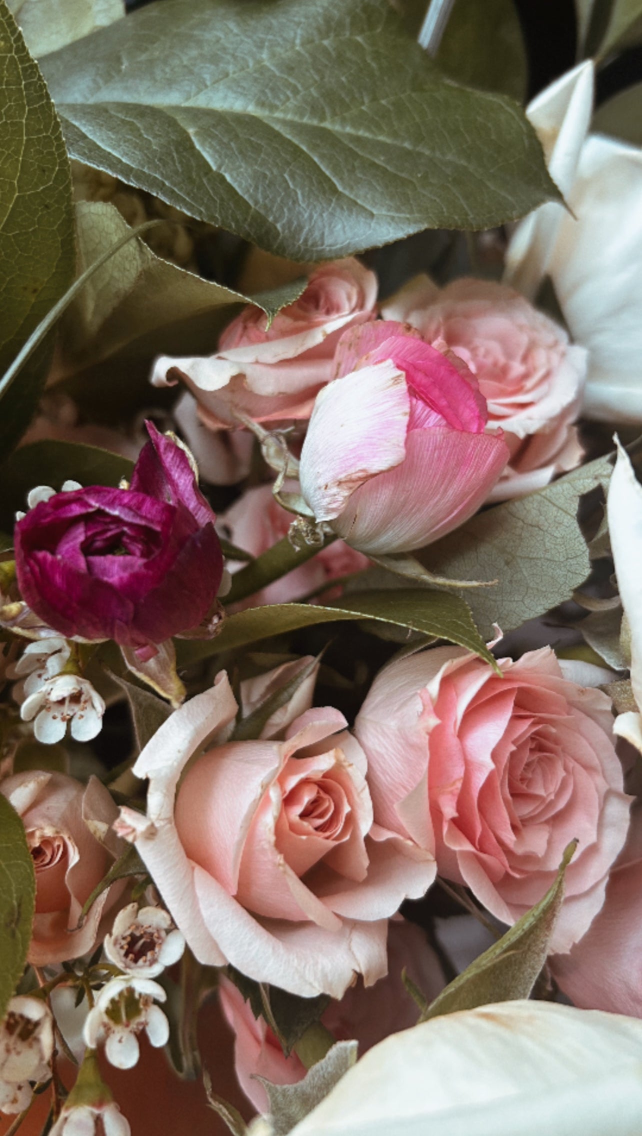 All Love (Slather x FROHE Collab Pre-Order)